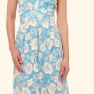 Adelyn Rae Blue and White Floral Midi Dress